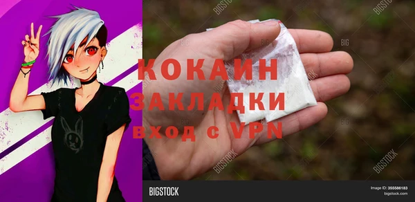соль ск Шадринск