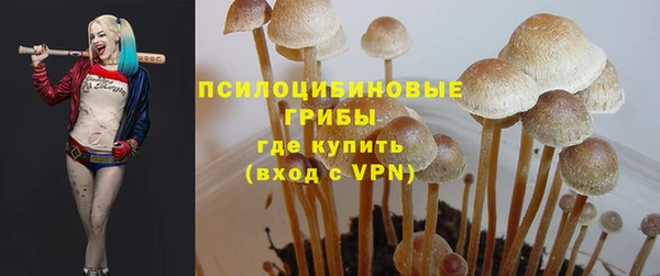 дурь Осташков