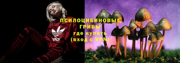 бутират Переславль-Залесский