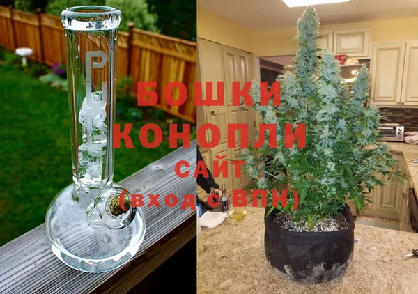 прущая мука Шали