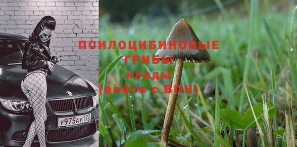 бутират Переславль-Залесский