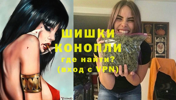 соль ск Шадринск