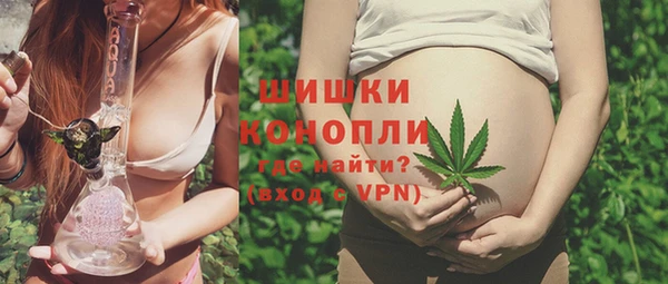 прущая мука Шали