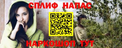 гидра Балахна