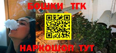 крисы Канаш