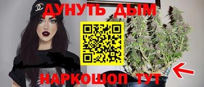 шишки Камышлов