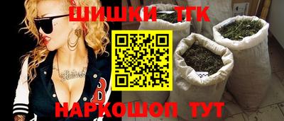 шишки Камышлов
