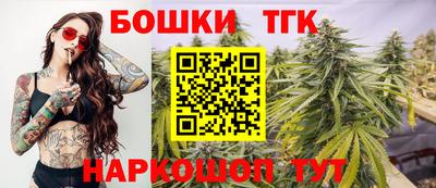 шишки Камышлов