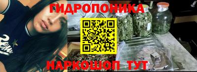 шишки Камышлов
