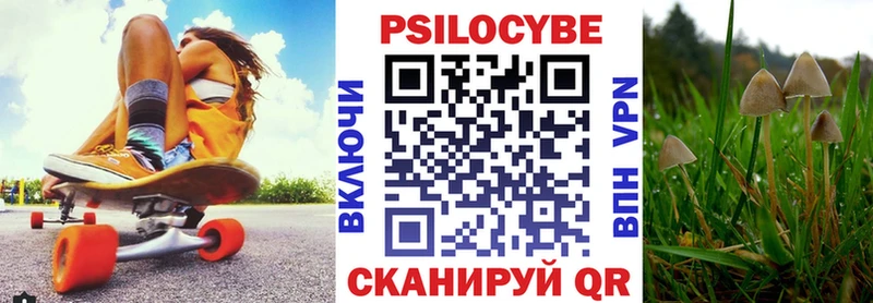 Псилоцибиновые грибы Psilocybine cubensis  Томск 