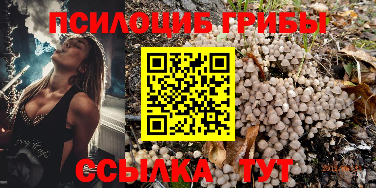 Галлюциногенные грибы мухоморы Томск