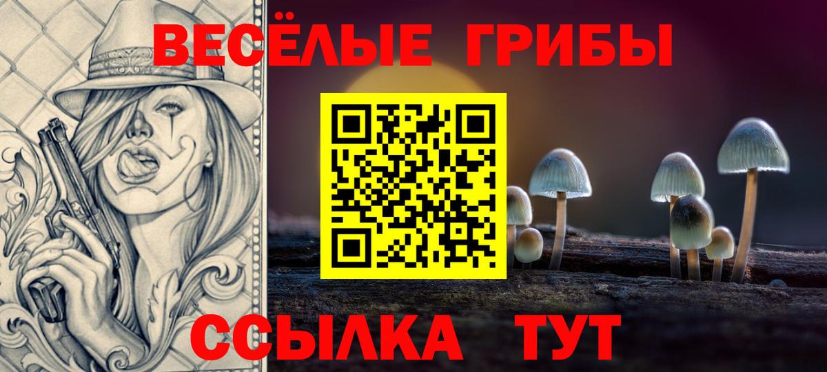 Томск  Псилоцибиновые грибы мухоморы  Вход с VPN 