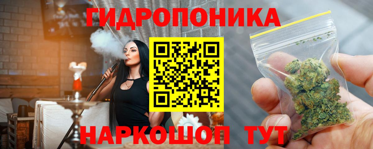 Бошки Шишки семена Томск